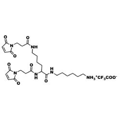Vector Labs QBD-10232-1000 Bis-Maleimide amine,TFA salt - 1000 mg (1/EA)