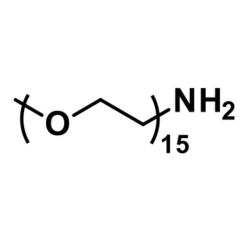 Vector Labs QBD-10298-1000 m-dPEG®₁₅-amine - 1000 mg (1/EA)