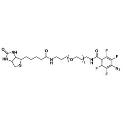 Vector Labs QBD-10308-25 Biotin-dPEG®₃-TFPA - 25 mg (1/EA)