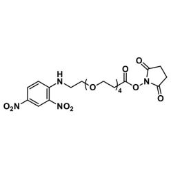 Vector Labs QBD-10347-1000 DNP-dPEG®₄-NHS ester - 1000 mg (1/EA)