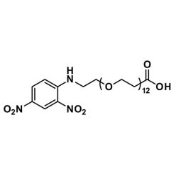 Vector Labs QBD-10398-1000 DNP-dPEG®₁₂-acid - 1000 mg (1/EA)