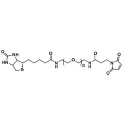 Vector Labs QBD-10785-25 Biotin-dPEG®₂₃-MAL - 25 mg (1/EA)