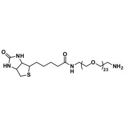 Vector Labs QBD-10786-1000 Biotin-dPEG®₂₃-NH₂ - 1000 mg (1/EA)