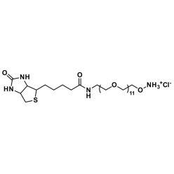 Vector Labs QBD-11102-50 Biotin-dPEG®₁₁-oxyamine. HCl - 50 mg (1/EA)
