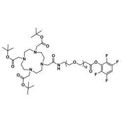 Vector Labs QBD-11157-1000 DOTA-tris(TBE)-amido-dPEG®₁₂-TFP ester - 1000 mg (1/EA)