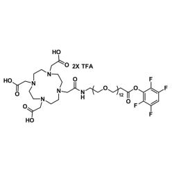 Vector Labs QBD-11162-100 DOTA-tris(acid)-amido-dPEG®₁₂-TFP ester - 100 mg (1/EA)