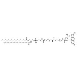 Vector Labs QBD-11385-10 Carboxyfluorescein-dPEG®₂₄-amido-dPEG®₂₄-DSPE - 10 mg (1/EA)