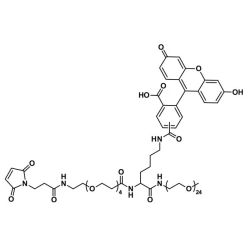 Vector Labs QBD-11577-5 MAL-dPEG®₄-Lys(-5(6)-Carboxyfluorescein)-NH-m-dPEG®₂₄ - 5 mg (1/EA)