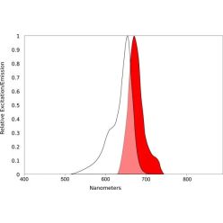 Vector Labs QBD-11949LF-1 AQuora® 650-NHS Ester - 1 mg (1/EA)