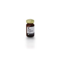 Vector Labs RL-1002-25 Concanavalin A (Con A), Rhodamine, 25 mg (1/EA)