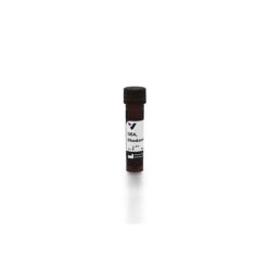 Vector Labs RL-1032-2 Dolichos Biflorus Agglutinin (DBA), Rhodamine, 2 mg (1/EA)