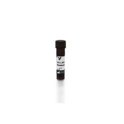 Vector Labs RL-1102-2 Griffonia (Bandeiraea) Simplicifolia Lectin I (GSL I, BSL I), Rhodamine, 2 mg (1/EA)