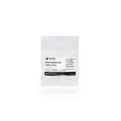 Vector Labs S-1009-010 MHPH (Maleimide HyNic) Linker, 10 mg (1/EA)
