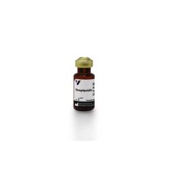 Vector Labs SA-5000-1 Streptavidin, 1 mg (1/EA)