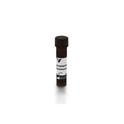 Vector Labs SA-5001-1 Streptavidin, Fluorescein, 1 mg (1/EA)