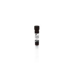 Vector Labs SA-5006-1 Streptavidin, Texas Red™ , 1 mg (1/EA)