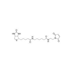 Vector Labs SP-1501-12 Biotin (Long Arm) Maleimide, 12 mg (1/EA)