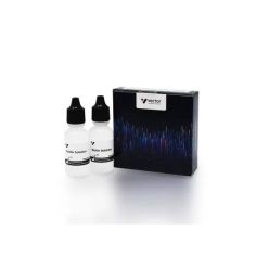 Vector Labs SP-2001 Avidin/Biotin Blocking Kit, 1 Kit (1/EA)