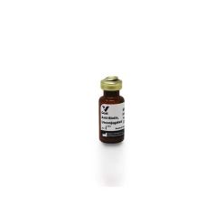 Vector Labs SP-3000-1 Goat Anti-Biotin, Unconjugated, 1 mg (1/EA)