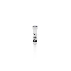 Vector Labs SP-4000-1 Anti-Streptavidin Antibody, Unconjugated, 1 mg (1/EA)