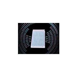 STR-THER-PLT Excel Scientific ThermalSeal® Microplate Sealing Film for PCR & Storage Sealing Film, Polypropylene, Clear, 50 µm Thick, Sterile  (Pack of 100)