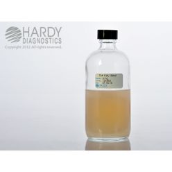 Hardy Diagnostic U112 Liquid Culture Media, TSA 1.5x Bottle,  150 mL, 365 Day Shelf Life (Pack of 20)