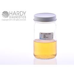 Hardy Diagnostic U261 Liquid Culture Media, TSB w/ L&T Jar,  100 mL, 120 Day Shelf Life (Pack of 12)