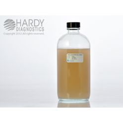 Hardy Diagnostic U412 Liquid Culture Media, TSA w/ L&T Bottle,  400 mL, 180 Day Shelf Life (Pack of 12)