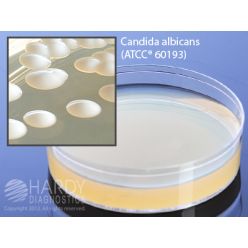 Hardy Diagnostic W250 Liquid Culture Media, SabDex Agar Plate,  60 mL, 90 Day Shelf Life (Pack of 5)
