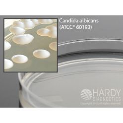 Hardy Diagnostic W50 Dry Culture Media, Mycobiotic Agar Plate,  90 Day Shelf Life (Pack of 10)