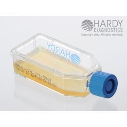 Hardy Diagnostic X11 Broth, BHI Agar w/ Chlorineoramphen Plastic HardyFlask,  120 Day Shelf Life (Pack of 20)